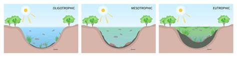 3 Classification Hypoxia Stock Vectors and Vector Art | Shutterstock