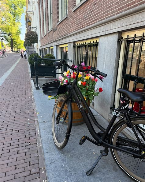 Kimberly Rhodes | It’s been a delight, Amsterdam! 😍 | Instagram