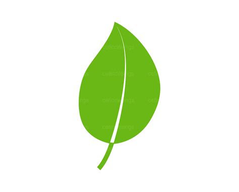 leaf icon leaf svg leaf png leaf jpg leaf eps leaf  leaf