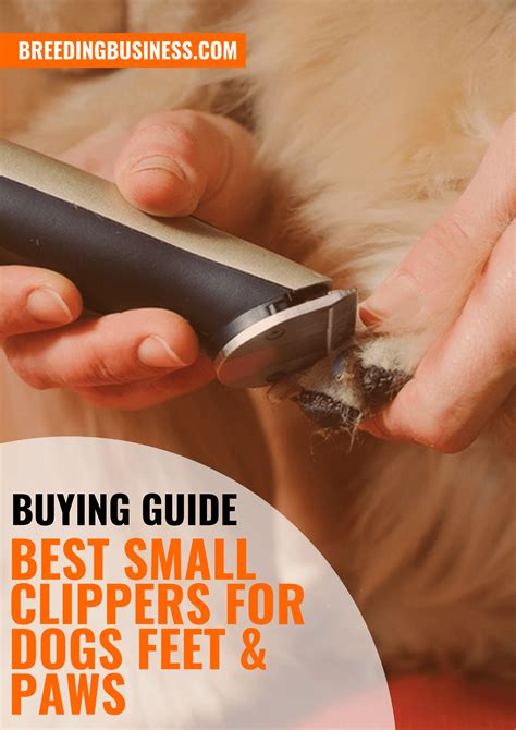 10 Best Small Clippers for Dog Feet & Paws [2026 Reviews]