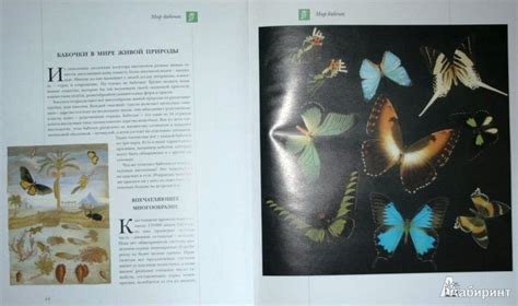 Книга: Бабочки мира - . Купить книгу, читать рецензии | Лабиринт