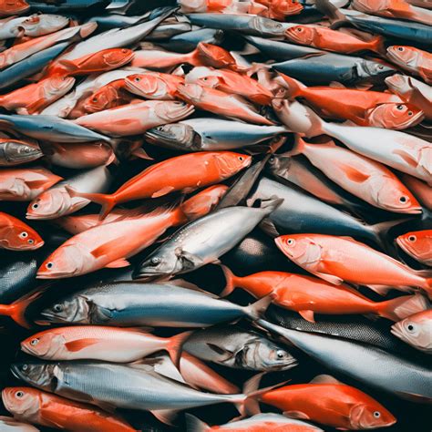 overfishing consequences  ripple effect  marine ecosystems