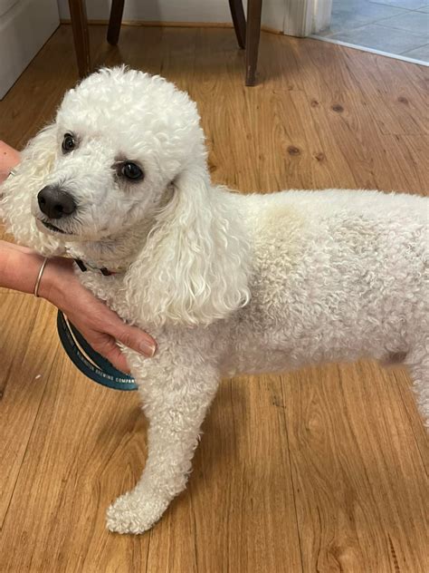 Donaldson Funeral Home and Cremation | Pittsboro NC