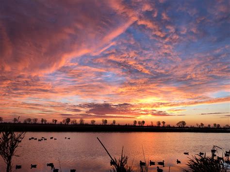 Wren & Ivy - Wren & Ivy added a new photo — at Wren & Ivy.