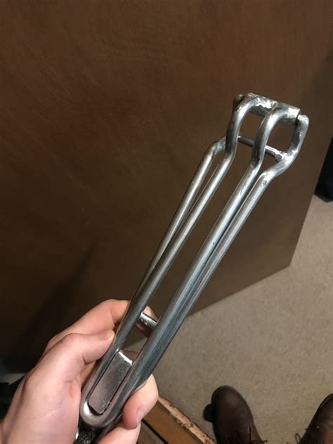 Why is this earwig running in circles? : r/Entomology