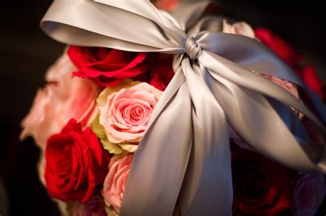 Pictures of Harmony Rose