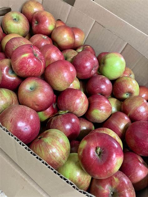 Jonathan Apples - locally grown - Food - Washington, Missouri