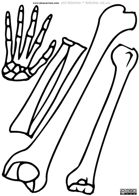 Moldes De Esqueleto Humano Para Imprimir