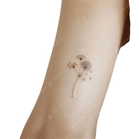 Tatuagem Dente De Leão Minimalista - Tatuagem Delicada De Dente De Leão PNG , Dente De Leão, Plantar, Flor ...
