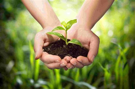 Scientists call for increased federal investment in sustainable ...