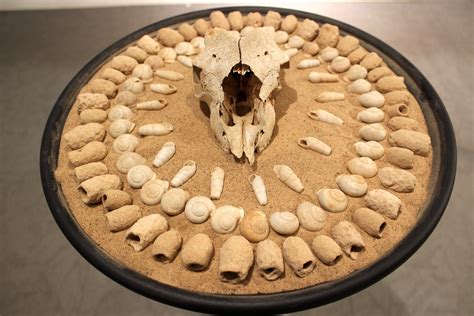 Castlefield Gallery New Art Spaces Chester — Remember Nature