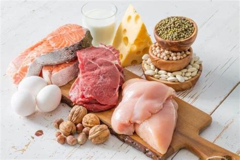 High Protein Diets for Weight Loss: What You Need to Know