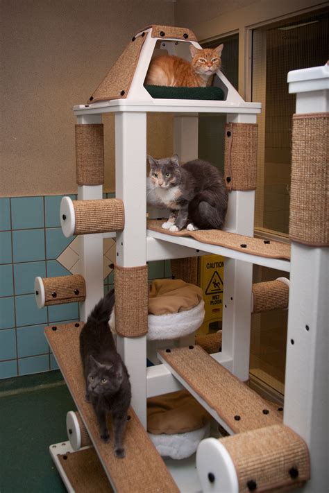 diy cat condo ideas