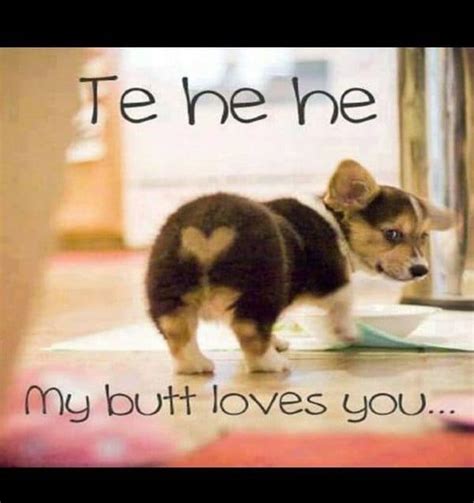 70 Funny I Love You Meme - SayingImages.com