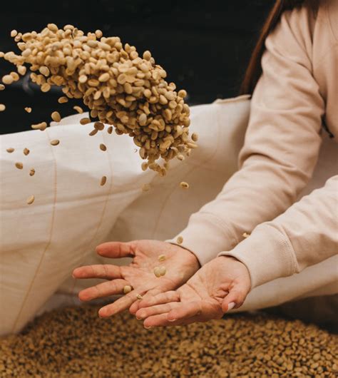 THE TRUTH ABOUT FRESH COFFEE – Café Britt