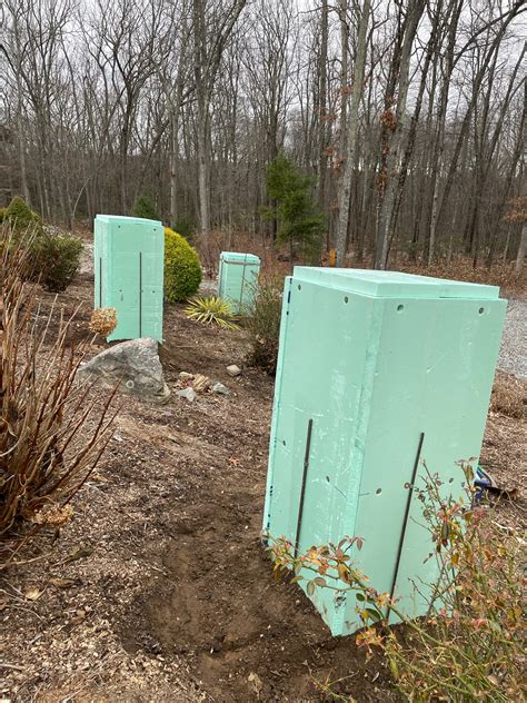 Protecting NA persimmon varieties in zone 6b - General Fruit Growing