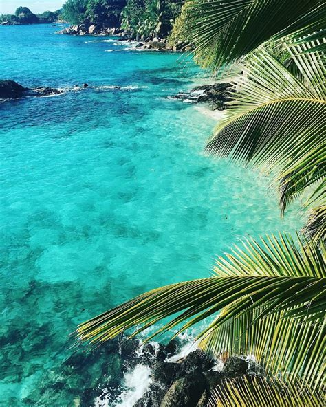 sol e mar | Summer tumblr, Summer vibes adventure, Beach wallpaper