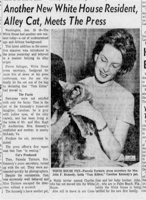 Kennedy Political cat | The LA Beat