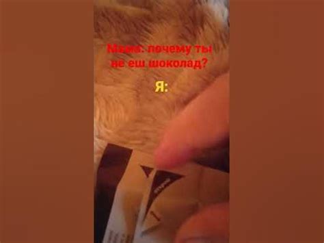 #прикол#шоколад#@ - YouTube
