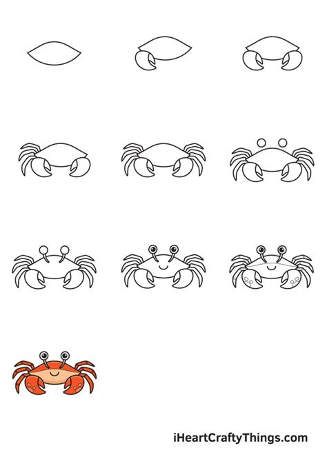 Crab Drawing — How To Draw A Crab Step By Step