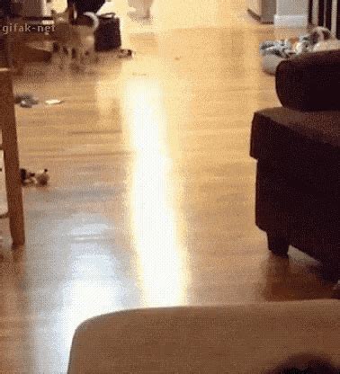 Couch Jump Miss GIFs | Tenor