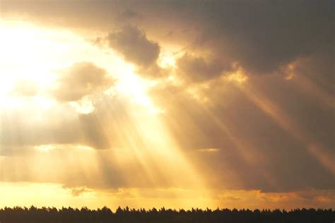 Advanced Wyckoff Trading Theory — IBEX Traders