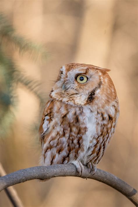 Hayes_Kristen_Entry2 | Cache la Poudre River National Heritage Area