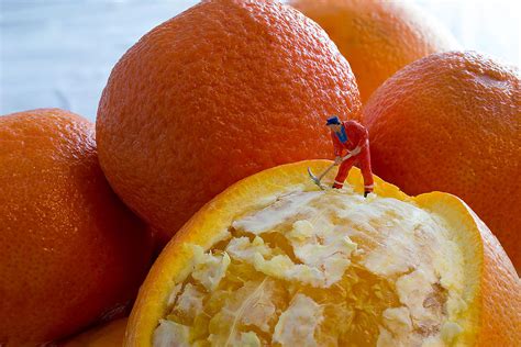 Peeling an Orange Photograph by Sandi Kroll - Fine Art America