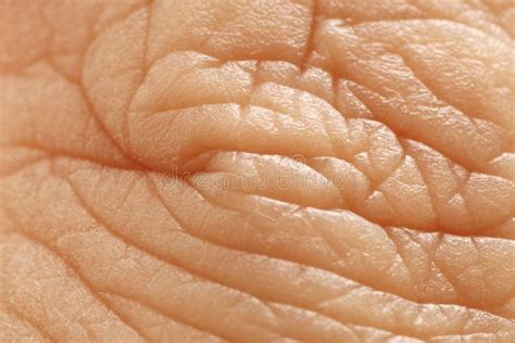 close  hand stock photo image  sensuality person