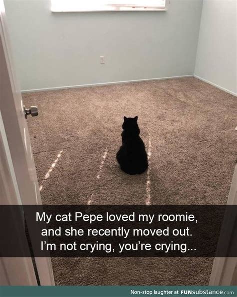 Sad pepe - FunSubstance