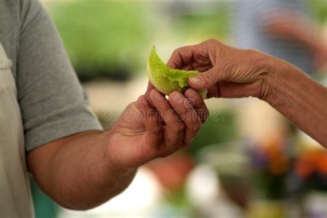 Sharing food stock image. Image of giving, give, farmers - 9481153
