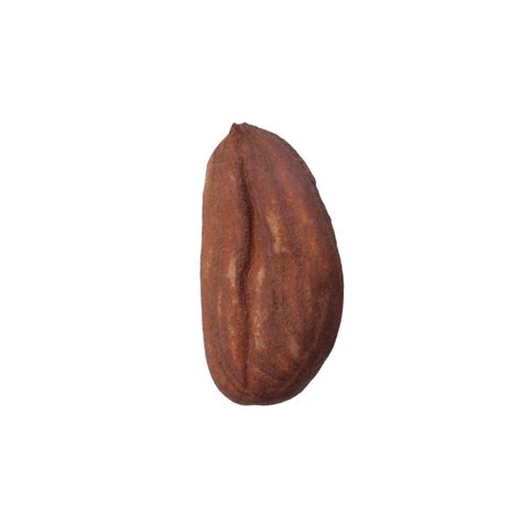 Almonds French Type – Arar Trading