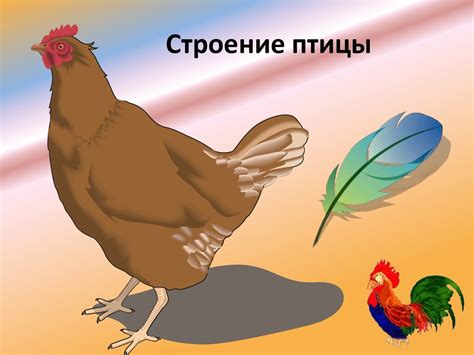 Домашние птицы - презентация онлайн