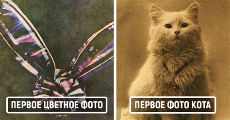 16 фотографий, которые являются самыми первыми в истории
