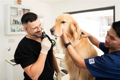 Ascites in Dogs: Causes, Symptoms, and Treatment