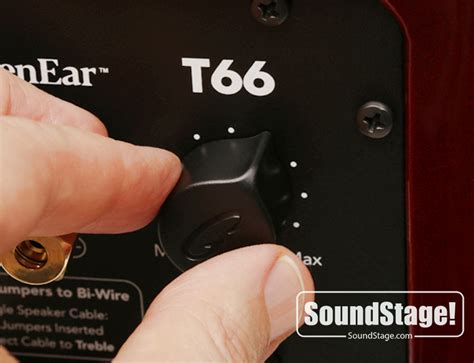 T66 Completely Disappear | GoldenEar