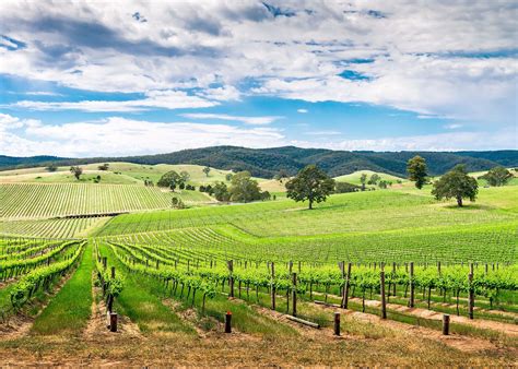 wine    barossa valley australia audley travel