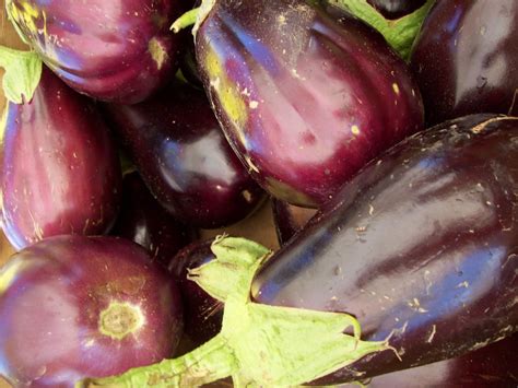 Napa Farmhouse 1885™: ecstatic for eggplant? a recipe for grilled ...