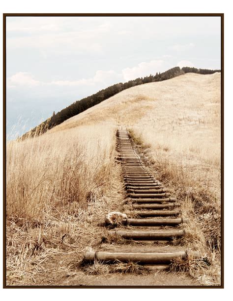 stepping  start  art