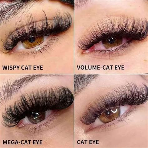 Cat Eyelash Extensions Ultimate Guide – SENSELASHES