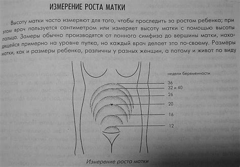 Положение матки anteflexio и другие виды. тело матки в anteflexio что это