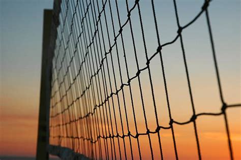 1,200+ Volleyball Net Sunset Stock Photos, Pictures & Royalty-Free ...