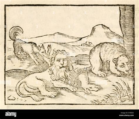 ' The Lion, the Bear, and the Fox ' fable by Aesop (circa 600BC). A ...