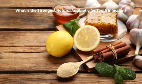 What Is the Strongest Natural Antibiotic for Tooth Infection?