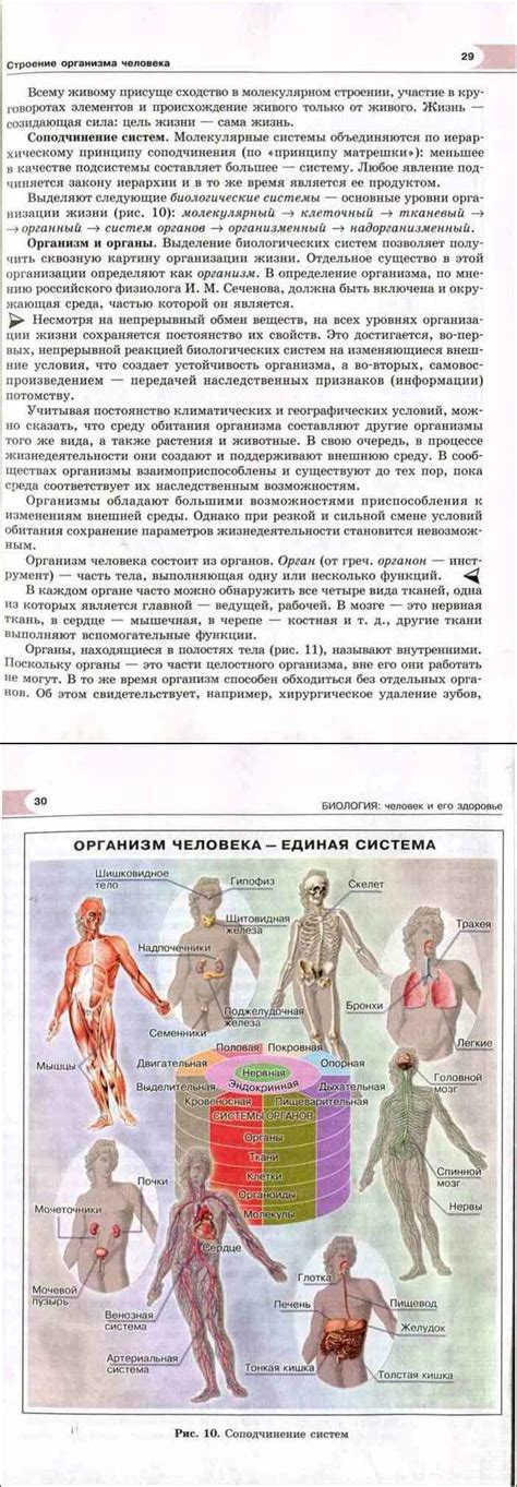 Читать онлайн учебник по биологии за 8 класс Рохлов Трофимов