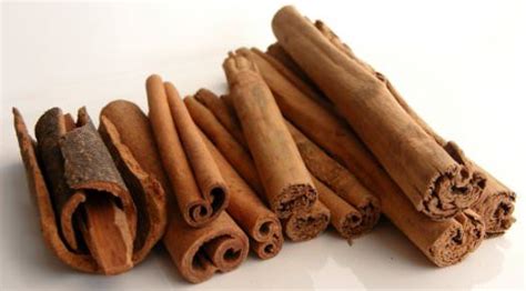 cinnamon sticks   price  chennai id  raj imex