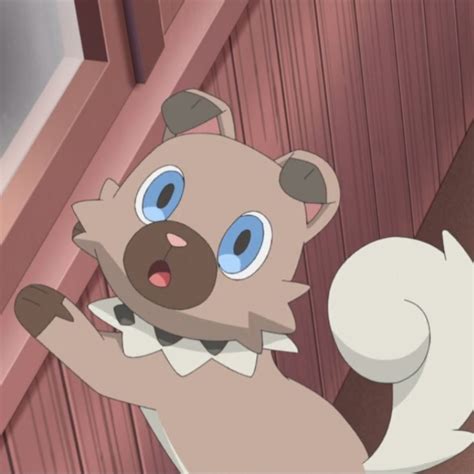 Rockruff | Rockruff pokemon, Pokemon teams, Dog pokemon