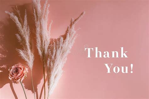 text  light peach background stock illustration