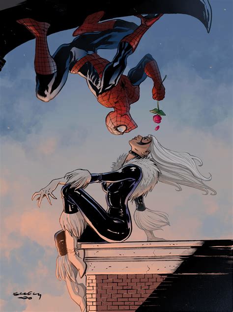 Is Spider Man In Love With Black Cat at Helen Williamson blog