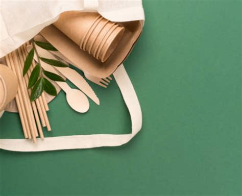 Oq Sao Produtos Biodegradaveis - Produtos Biodegradáveis: como desenvolver? - Prisma Engenharia